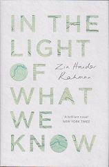 In the Light of What We Know  by Zia Haider  Rahman